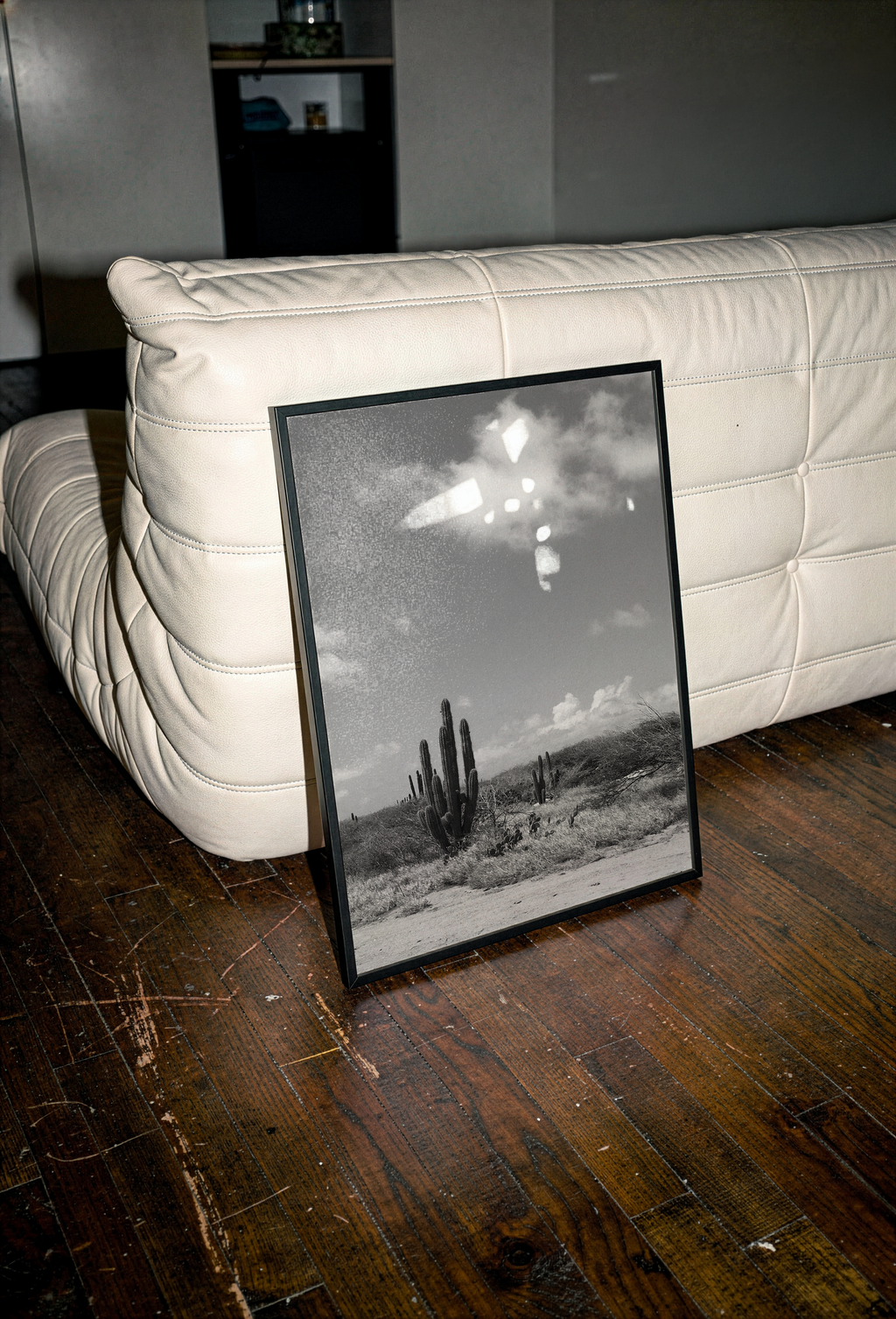 CACTUS