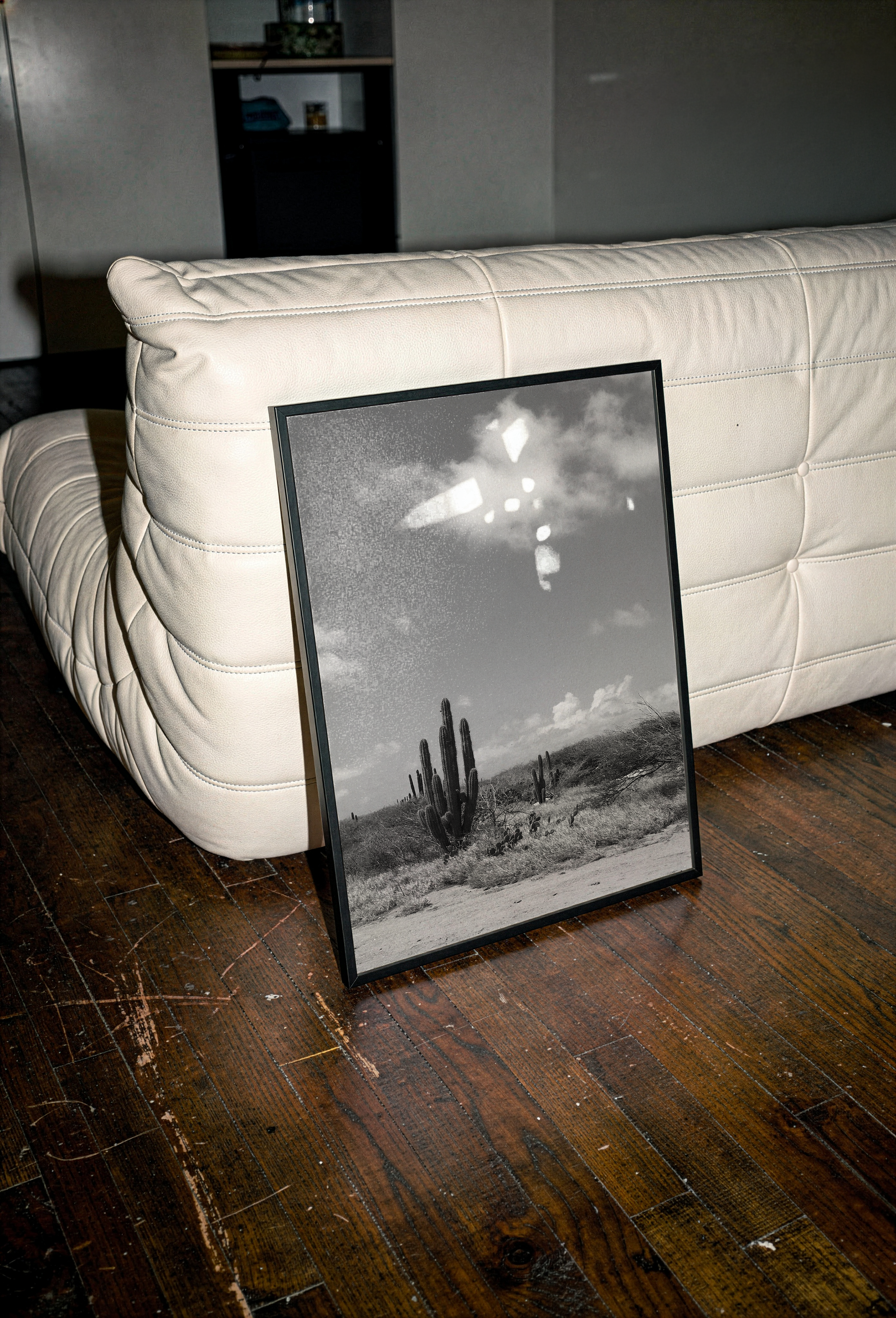 CACTUS